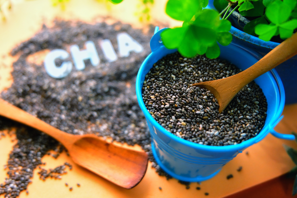 Chia Tohum