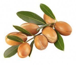 argan-yagi-nedir-faydalari-nelerdir