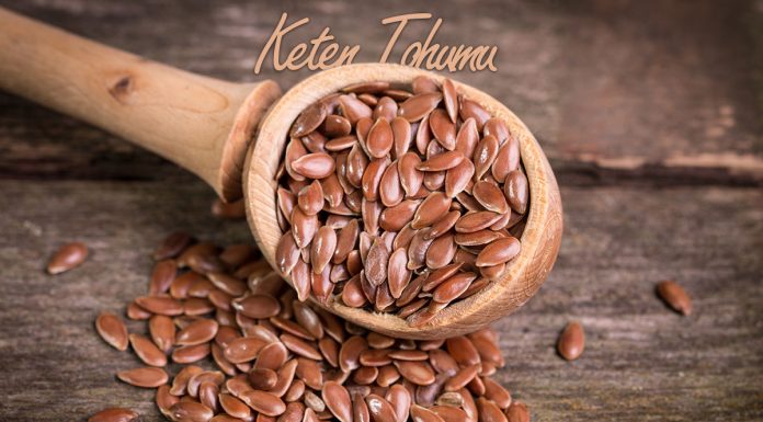keten-tohumu-nedir