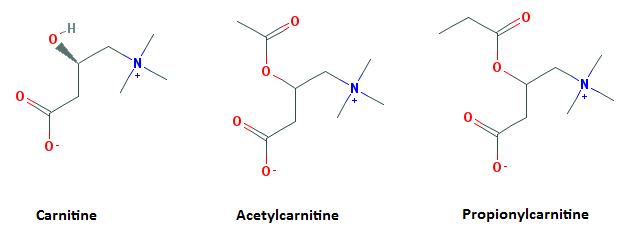 karnitin-turleri