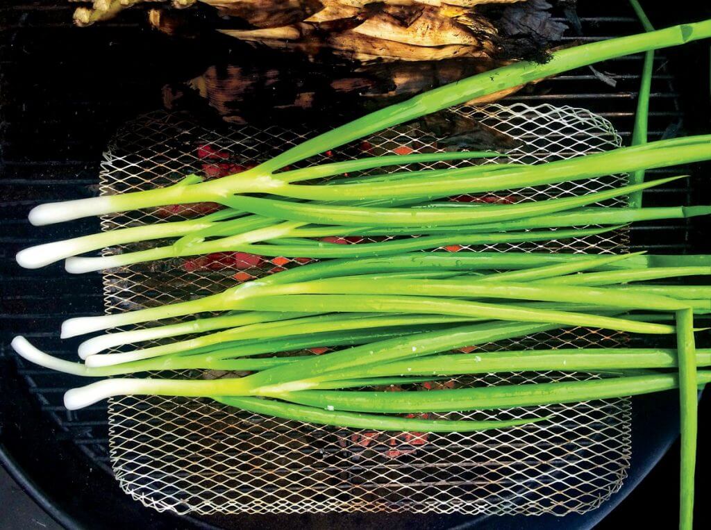 yesil-sogan