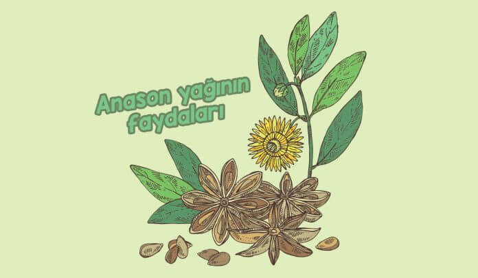 anason-yaginin-faydalari-nelerdir