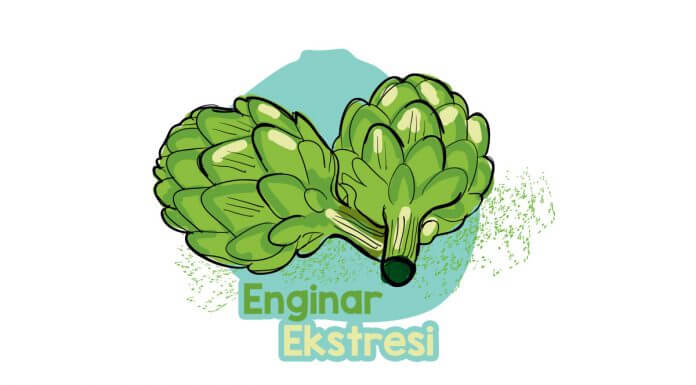 enginar-ekstresinin-faydalari-nelerdir