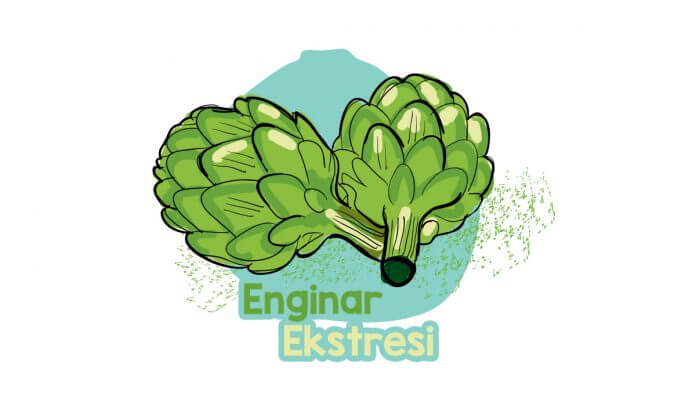 enginar-ekstresinin-faydalari-nelerdir