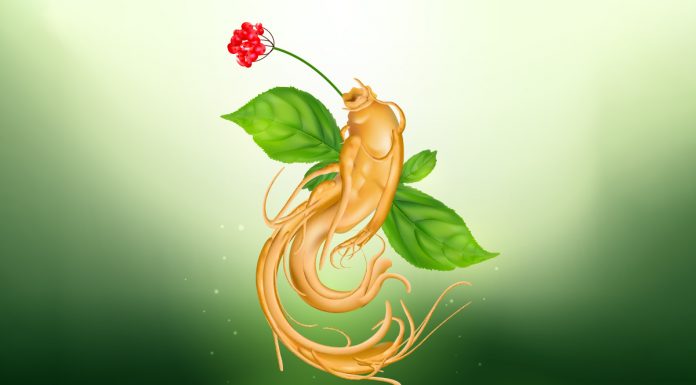 ginseng-nedir-faydalari-nelerdir