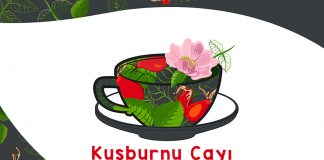 kusburnu-cayinin-faydalari-nelerdir