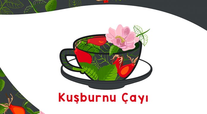 kusburnu-cayinin-faydalari-nelerdir