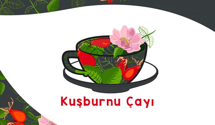 kusburnu-cayinin-faydalari-nelerdir