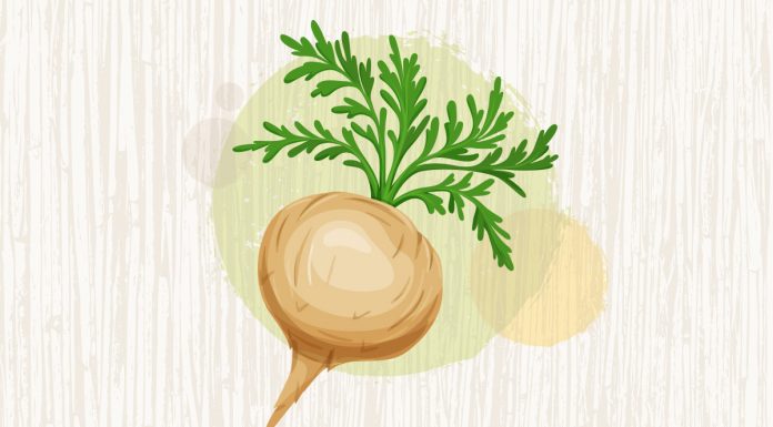 maca-koku-nedir-faydalari-nelerdir