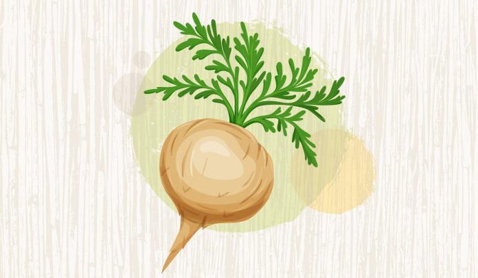 maca-koku-nedir-faydalari-nelerdir