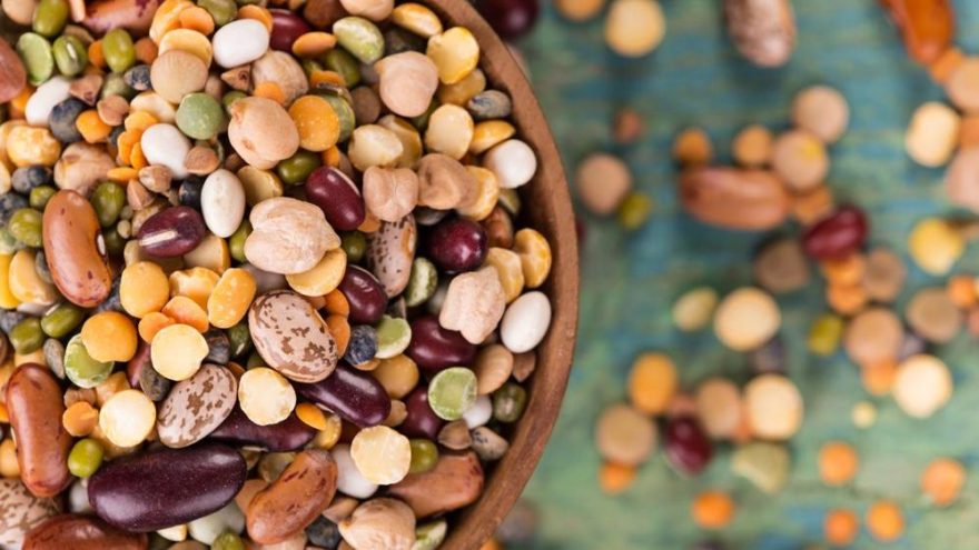 kurubaklagiller protein bombası mı