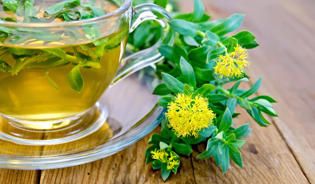 Rhodiola rosea faydaları nelerdir?