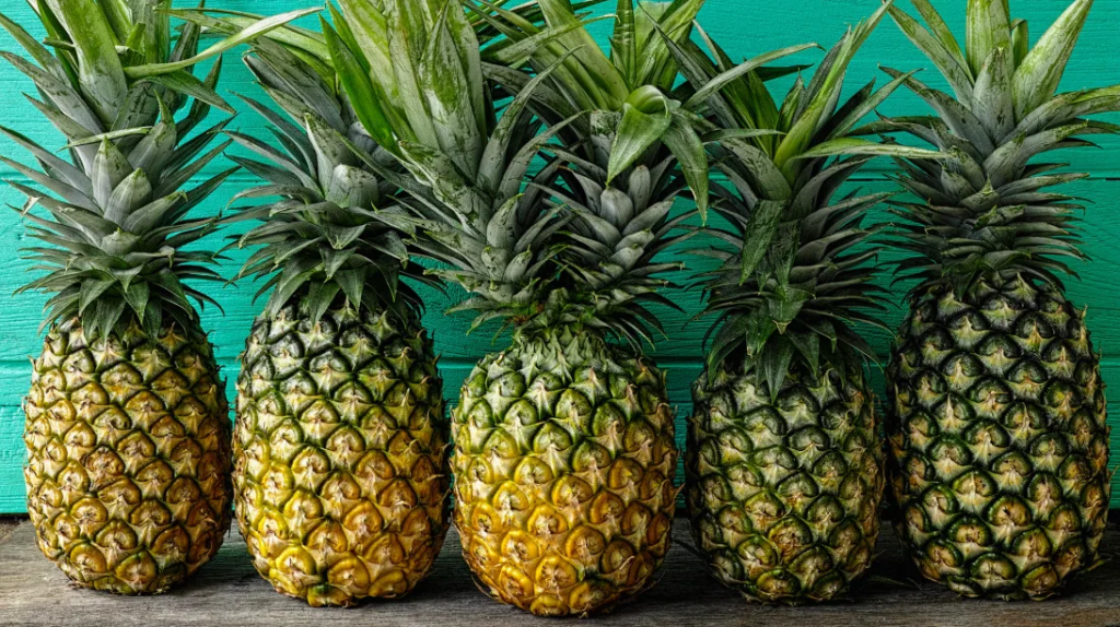 ananas-bagisiklik